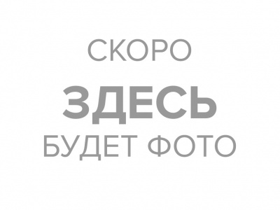 рп-3 по 71 год шт 